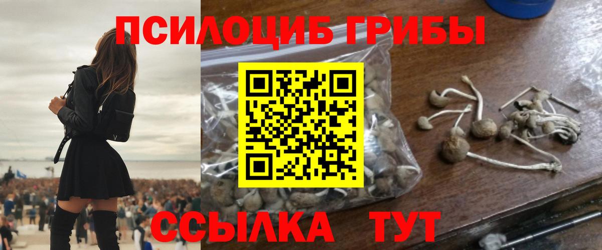 Приморско-Ахтарск  Псилоцибиновые грибы мицелий  где можно купить наркотик  Вход с VPN 